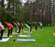 школа традиционной йоги марии ли джива-шакти изображение 8 на проекте lovefit.ru